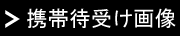 『携帯待ち受け画像』ボタン.gif