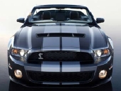 2010-Shelby-GT500a.jpg